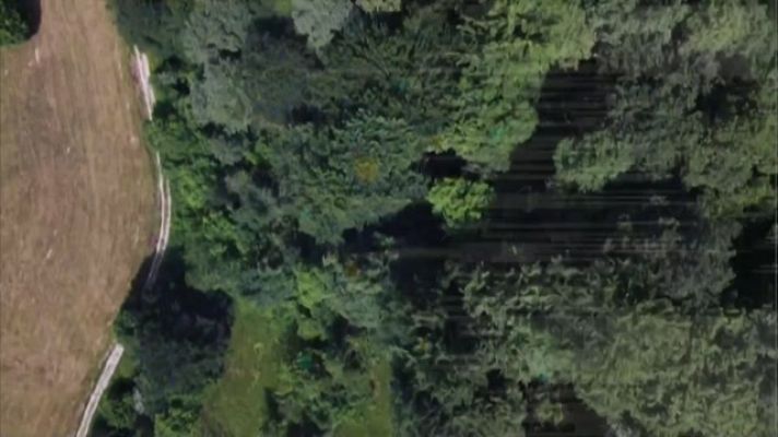 TeleCantabria - Telecantabria - 16/02/23