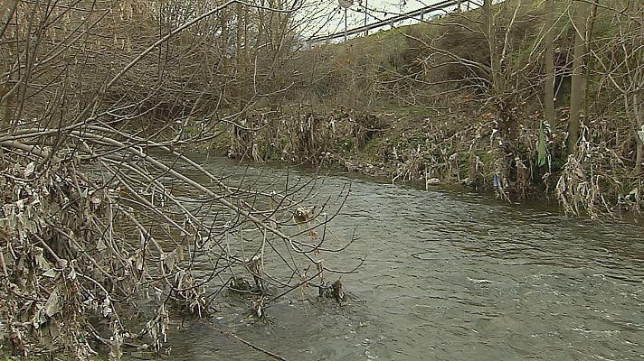 Noticias Andalucía - El río Genil con miles de toallitas
