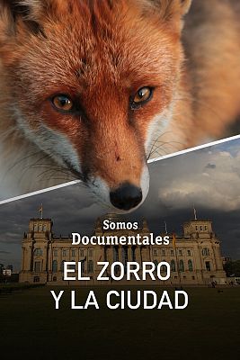 Somos Documentales - El zorro y la ciudad