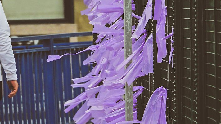 Telediario Fin de Semana - ¿Cómo funciona el sistema VioGén?