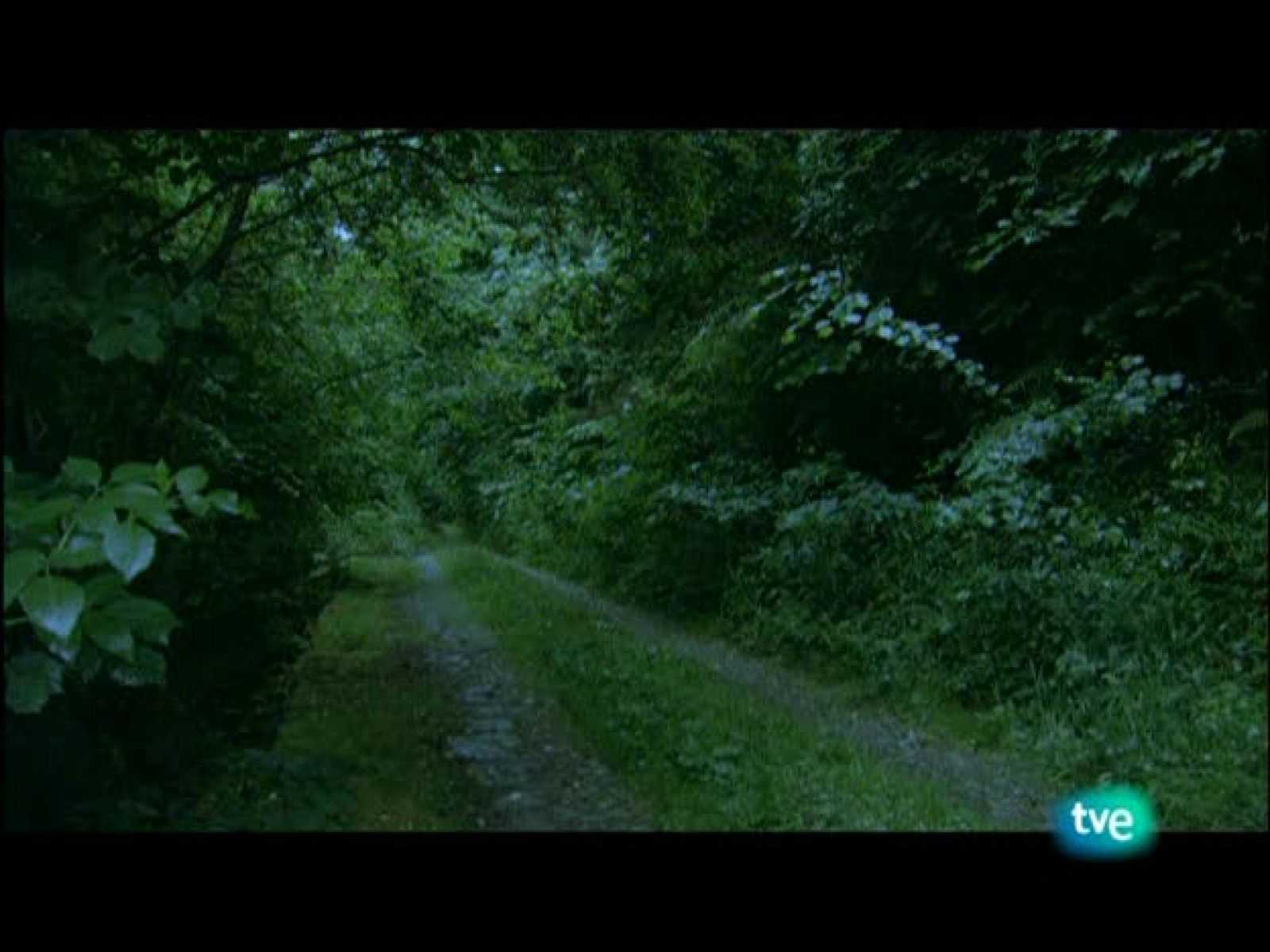 Nuestros caminos a Santiago - Camino del norte 1 - Nuestros caminos a Santiago | Ver