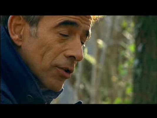 Un país para comérselo - España... un país para comérselo