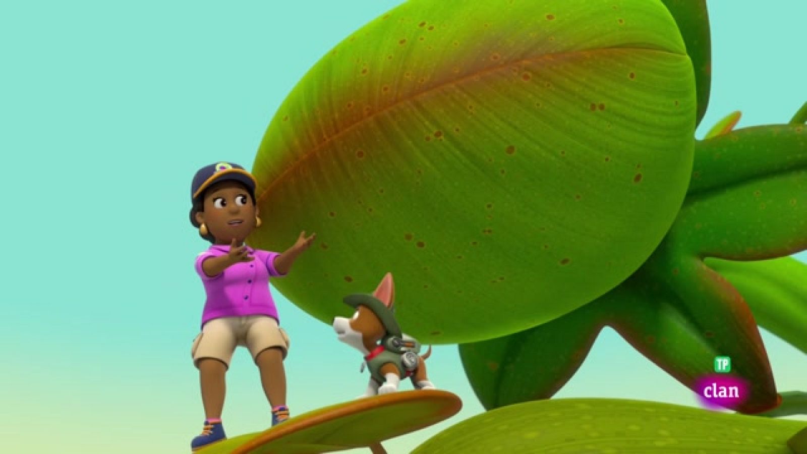 Una planta gigante - La patrulla canina | Ver