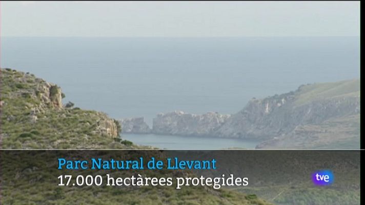 Informatiu Balear - Informatiu Balear en 2' - 20/02/23