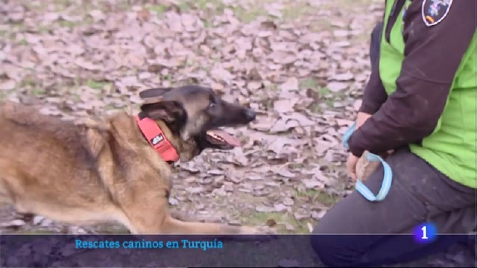 Informativo Telerioja  - 21/02/23 - Ver ahora