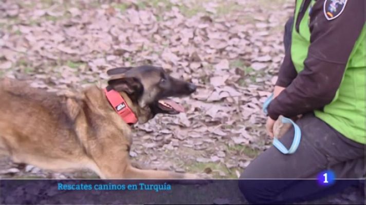 Informativo Telerioja - Informativo Telerioja  - 21/02/23