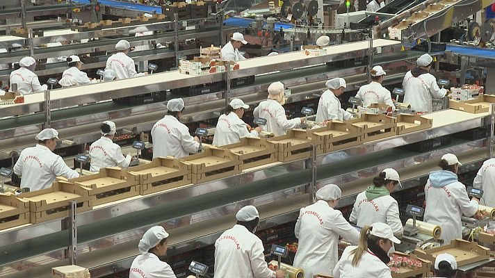 Noticias Andalucía - Contratos en origen para el campo