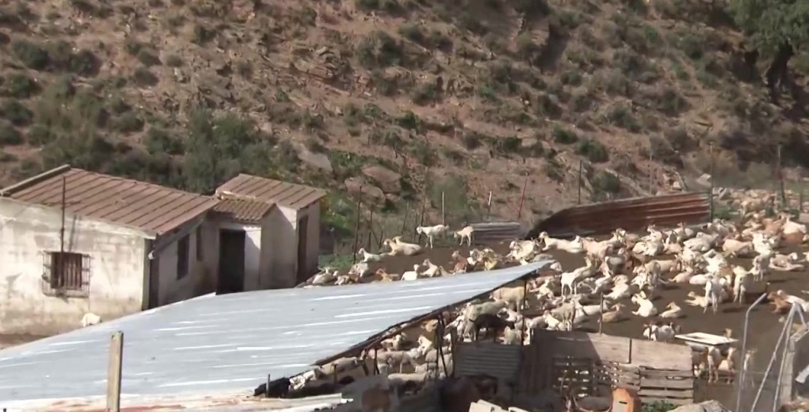 Agricultores y ganaderos denuncian el aumento de robos en el campo