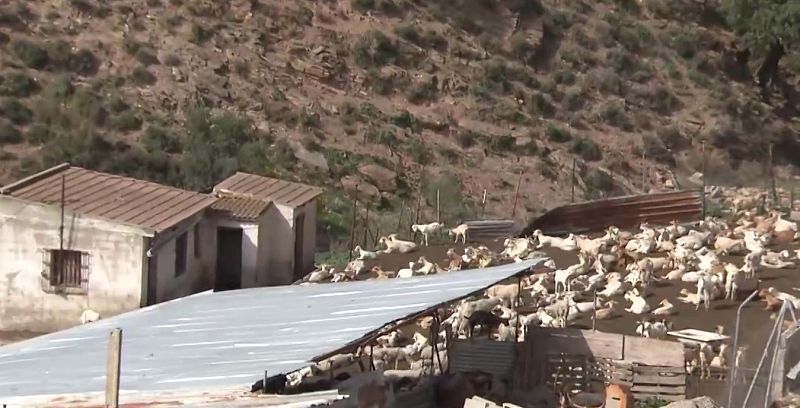 Agricultores y ganaderos denuncian el aumento de robos en el campo