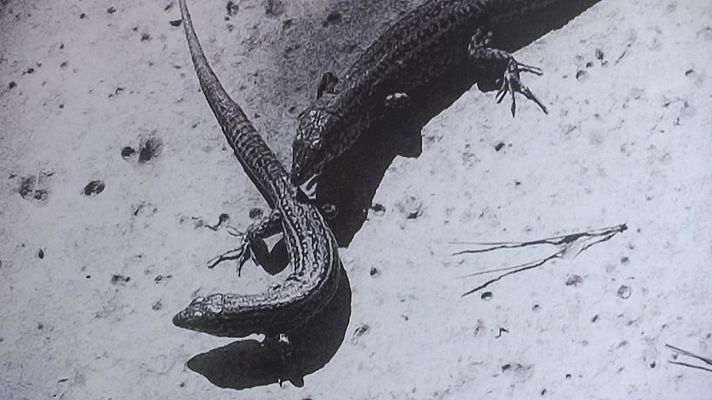 RTVE Igualdad - Exposición fotográfica 'Insuladas' sobre las mujeres de Formentera