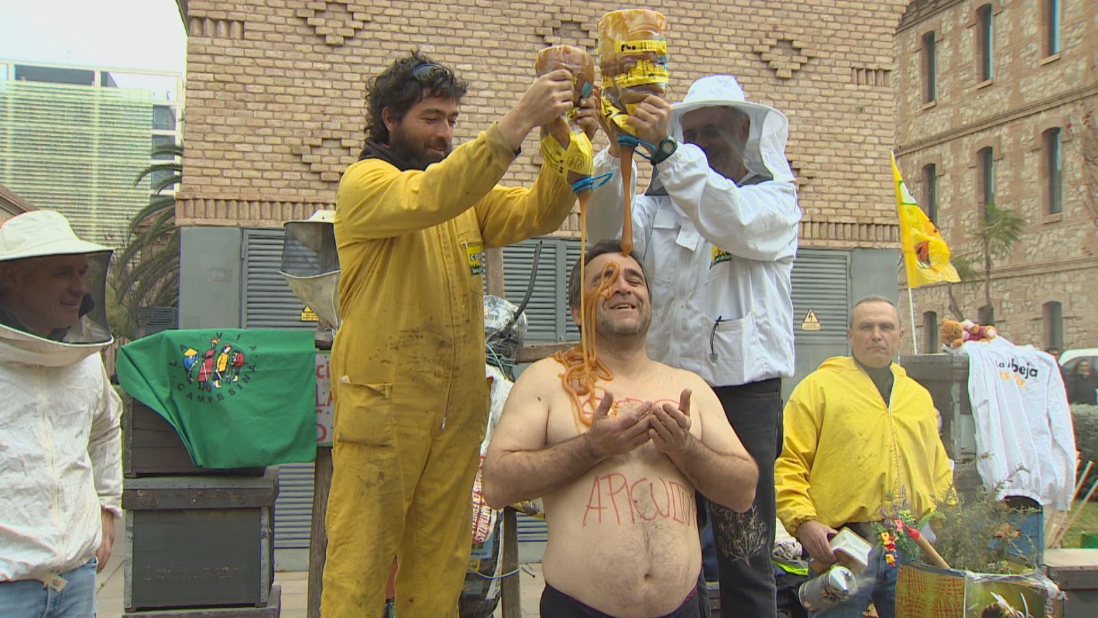 Los apicultores reclaman ayudas para compensar la baja rentabilidad por la importación de miel