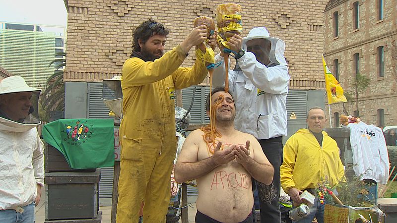 Los apicultores reclaman ayudas para compensar la baja rentabilidad por la importación de miel