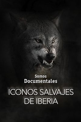 Iconos salvajes de Iberia