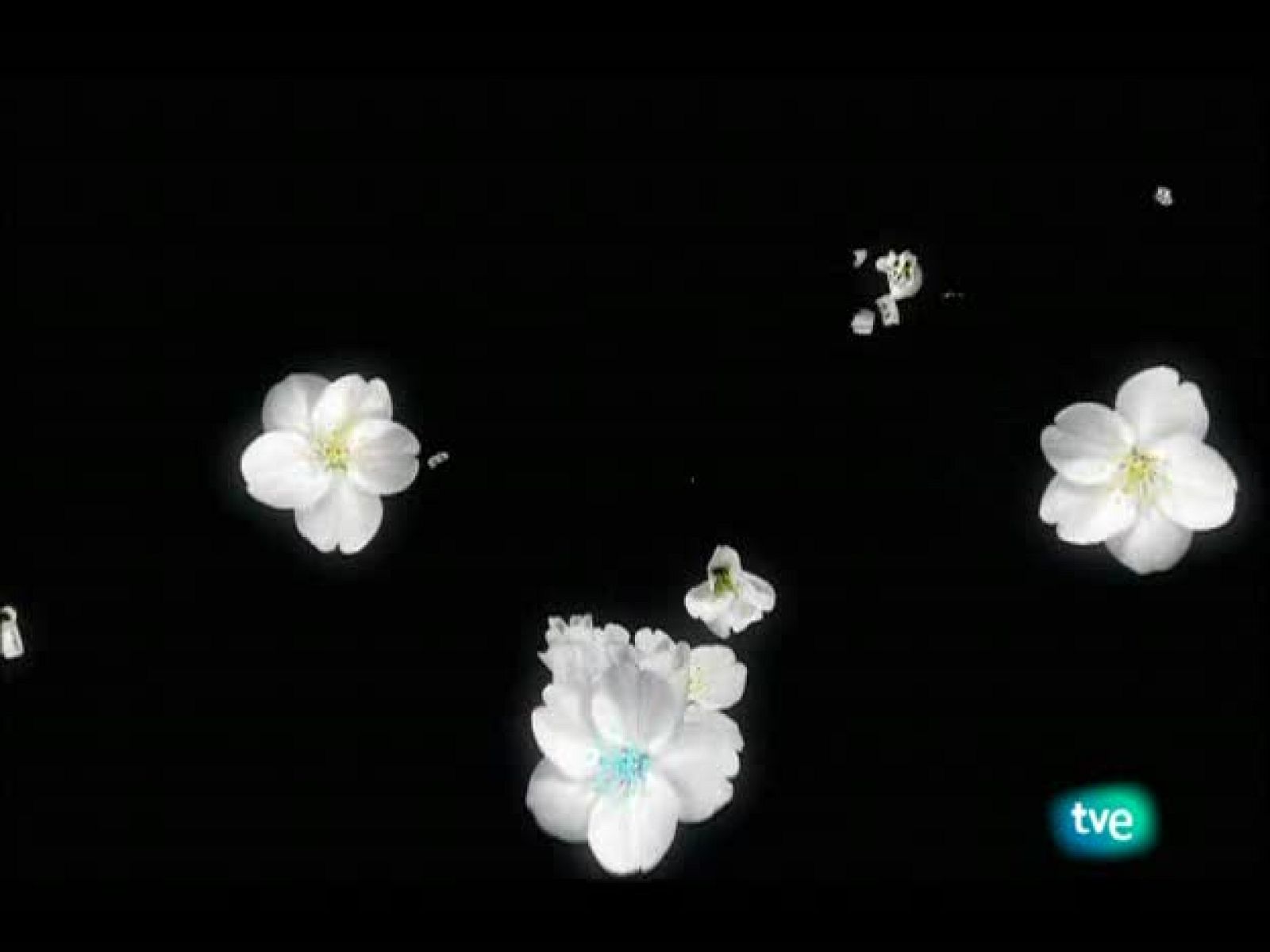 El jardín de los sueños - El Jardín de los Sueños | Ver