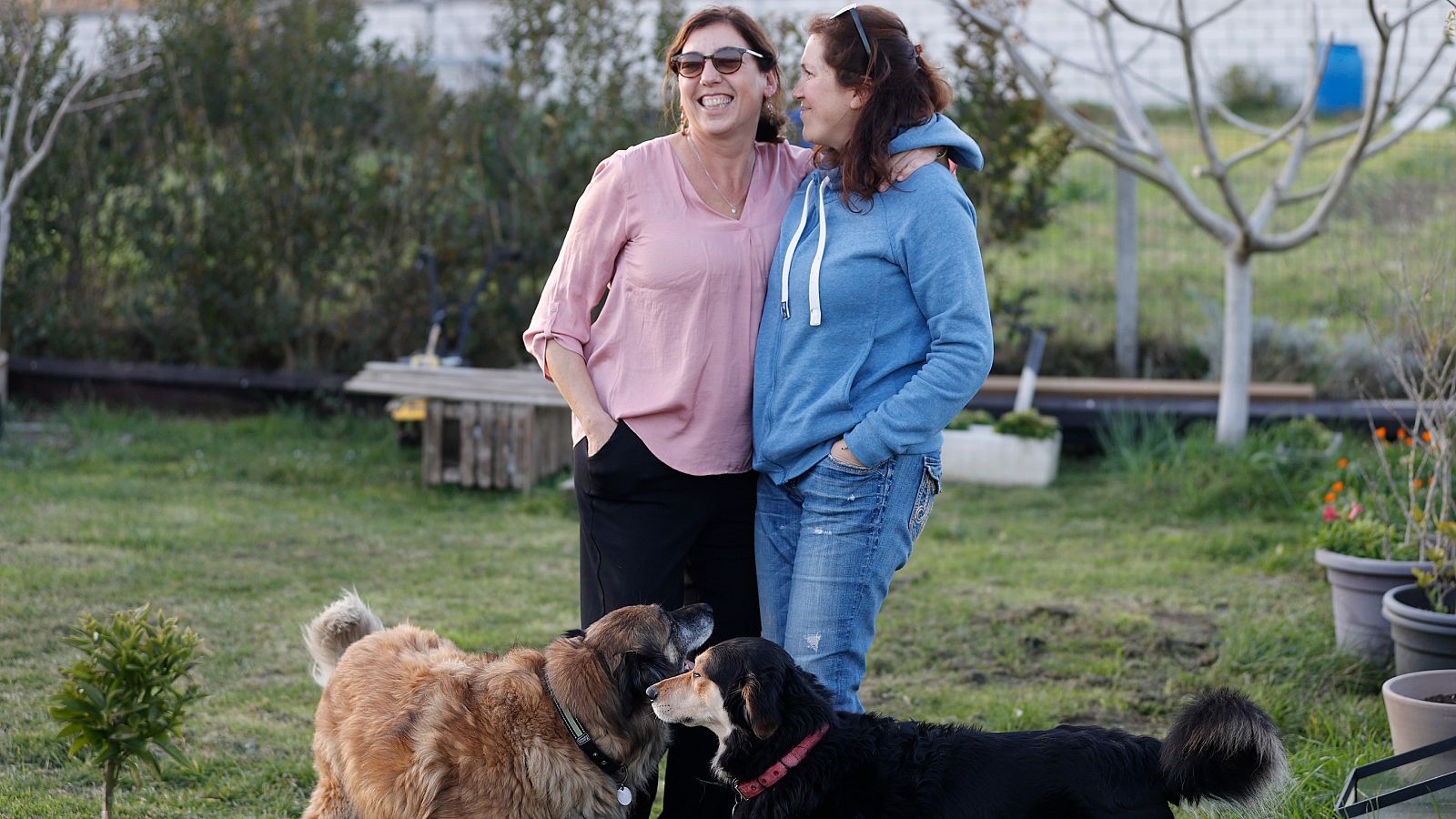 Un nuevo hogar en una casa de acogida