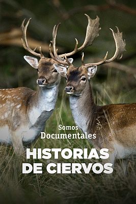 Somos Documentales - Historias de ciervos