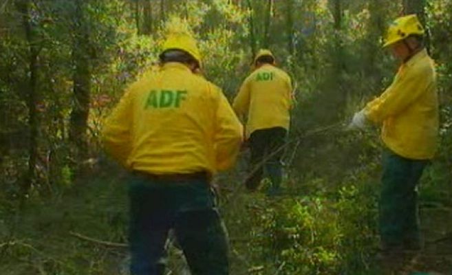Granangular.cat - La vacuna del foc