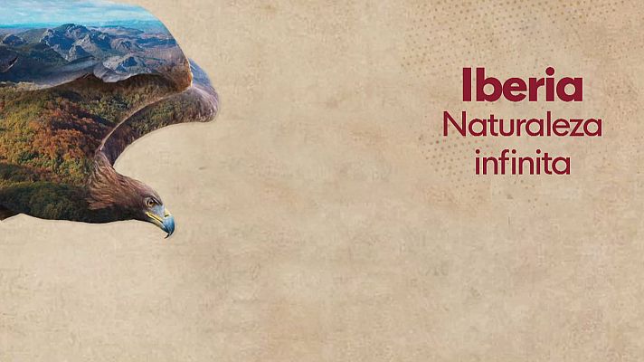 Noticias Andalucía - 'Iberia, naturaleza infinita'