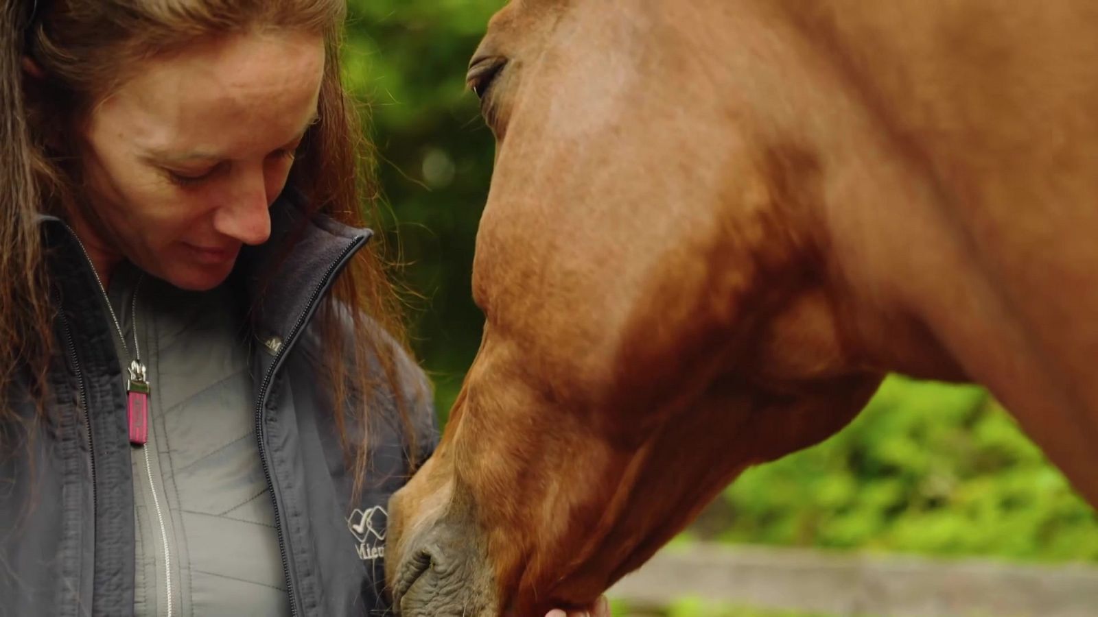 Hípica - Programa FEI Ride. Episodio 4 - ver ahora