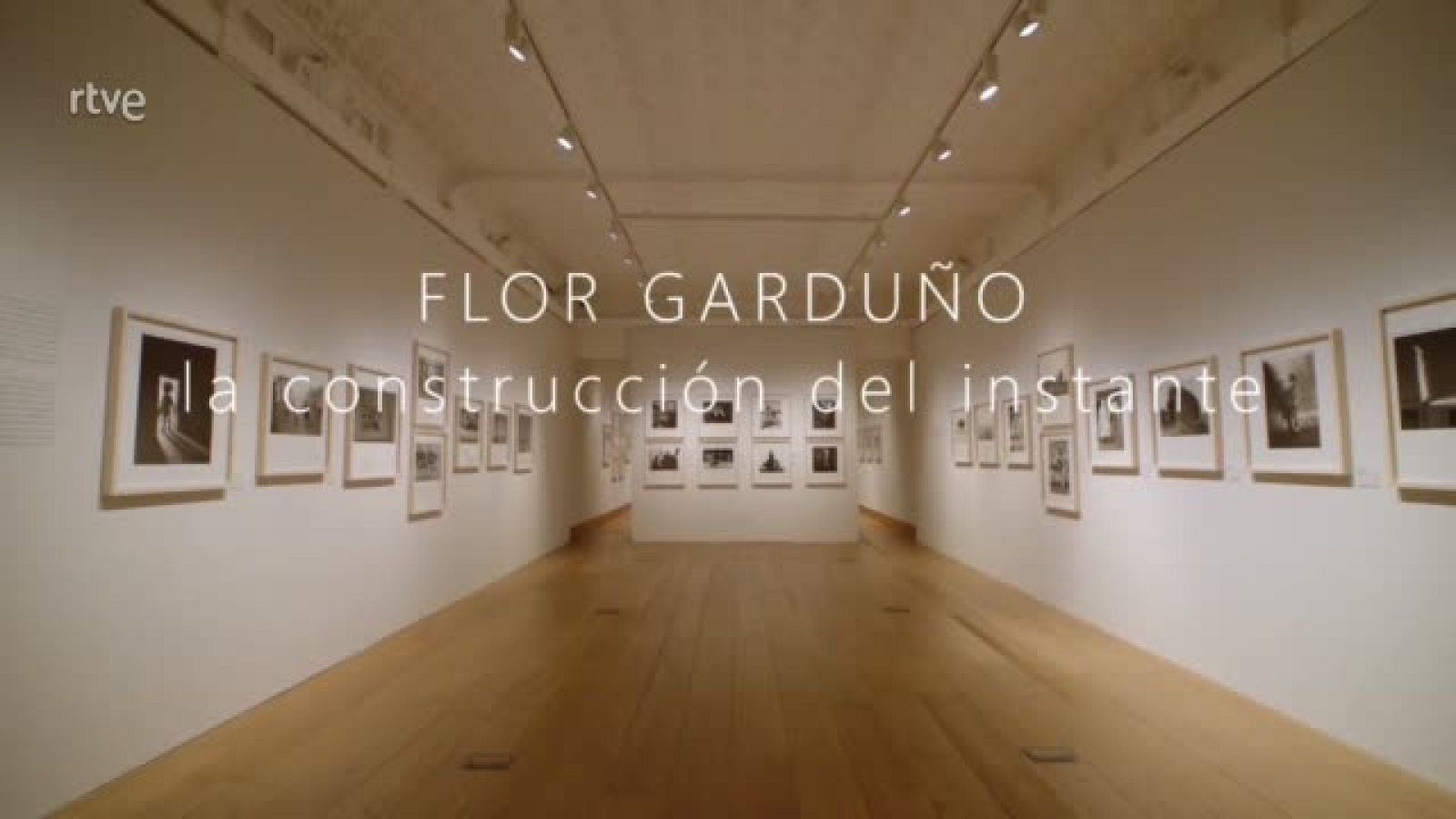 Metrópolis - Flor Garduño