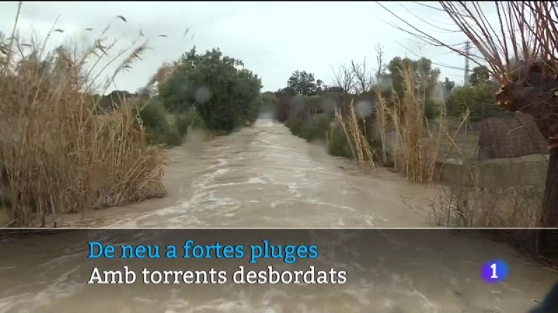 Informatiu Balear 1 - 28/02/23 - Veure ara