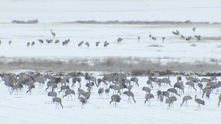  - La borrasca Juliette deja temperaturas de hasta 14 grados bajo cero en Teruel