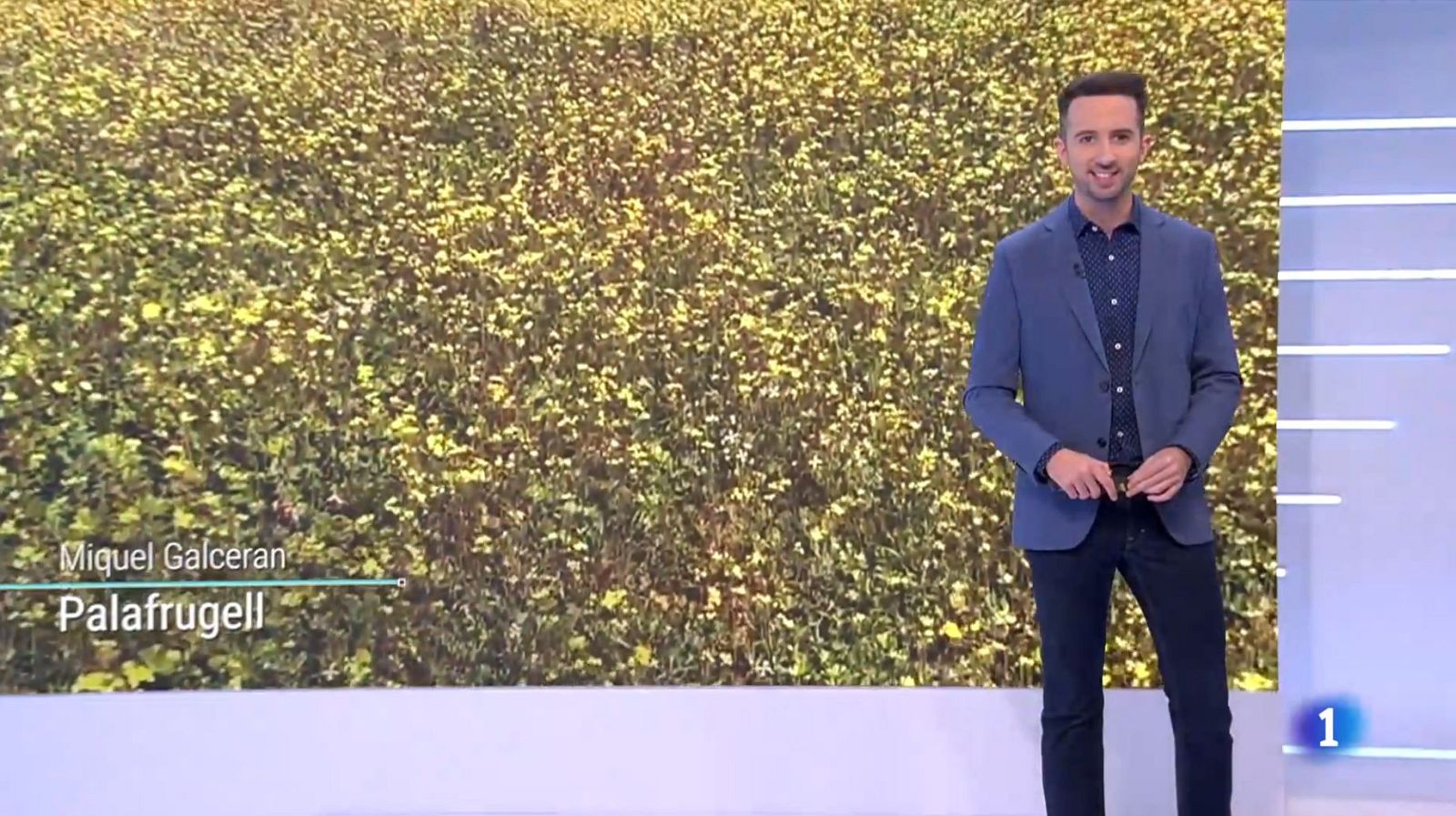 El Temps a Catalunya (01/02/2023) | RTVE Catalunya | Veure