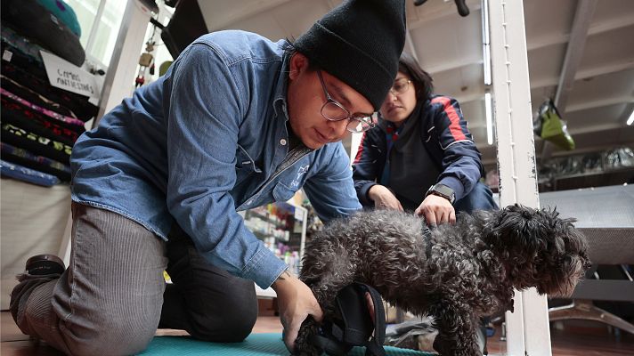 Telediario 1 - Acceder a un alquiler con mascota, un quebradero de cabeza para muchos inquilinos