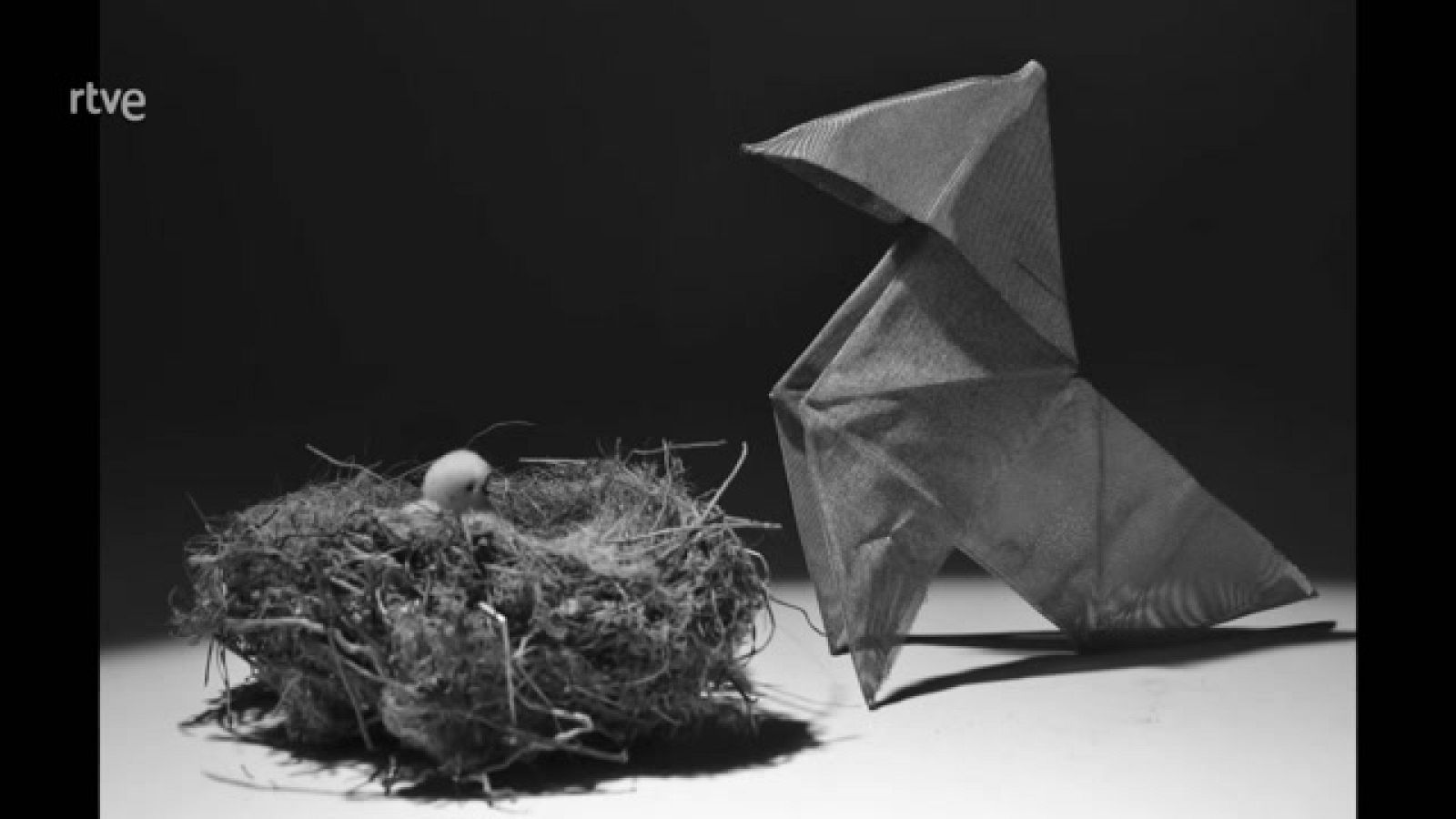 Boek visual: Mercè Ribera