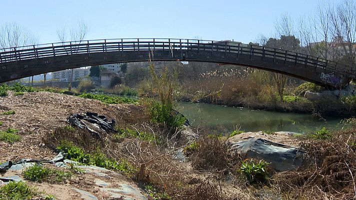 L'informatiu - Comunitat Valenciana - Un projecte per a recuperar 25.000 m2 del llit del Túria a Quart de Poblet