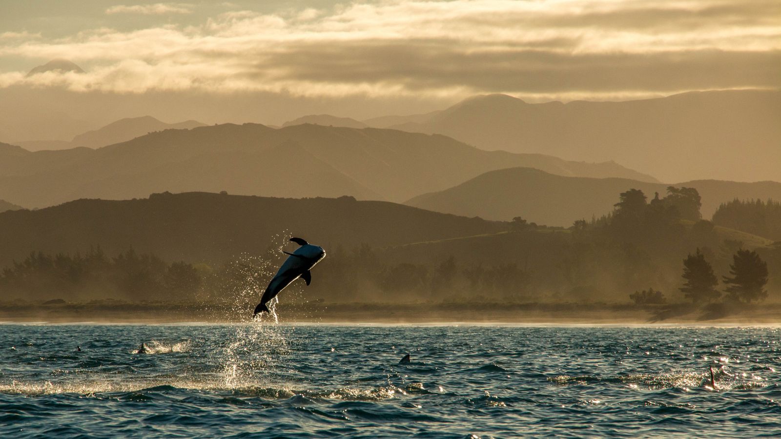 Somos documentales - Nueva Zelanda salvaje, el paraíso perdido - Ver ahora