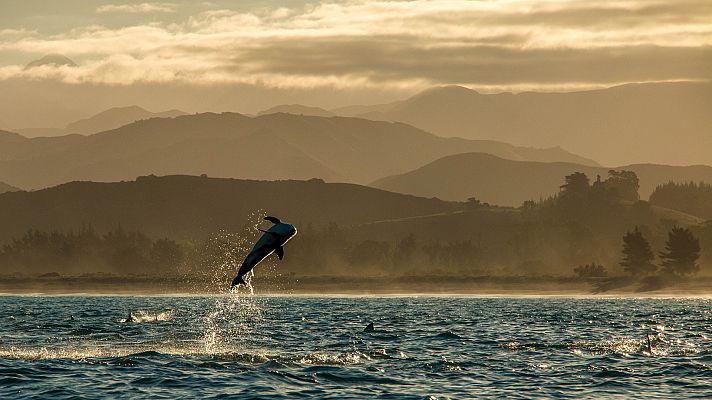 Somos Documentales - Nueva Zelanda salvaje, el paraíso perdido