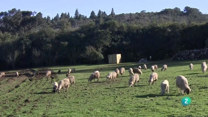 Telecanarias - Telecanarias 2 - 03/03/2023