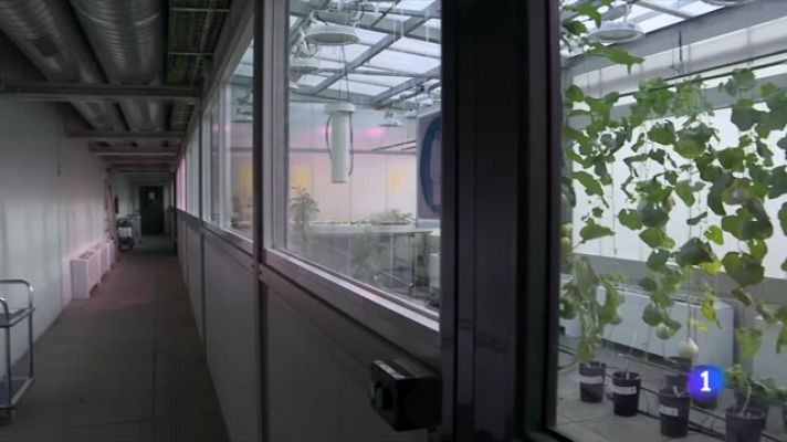 L'Informatiu - El paper fonamental de la investigació alimentària