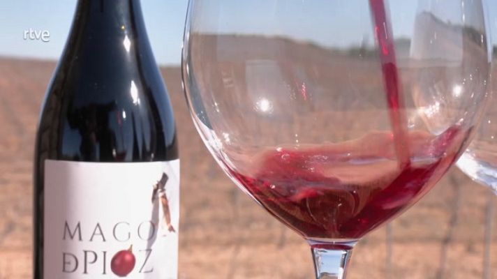 Aquí la Tierra - La poda de viñedos, todo un arte