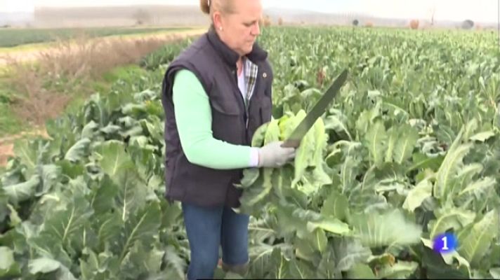 Informativo Telerioja - Informativo Telerioja - 07/03/23