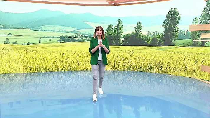 Ahora o nunca - Programa 32