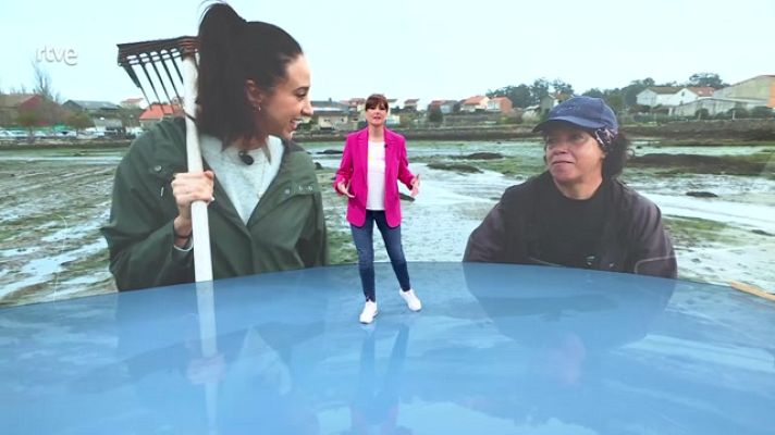 Ahora o nunca - Programa 33