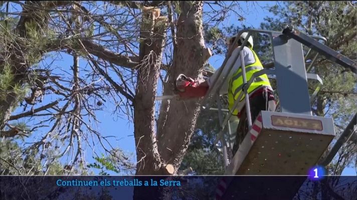 Informatiu Balear - La ressaca de Juliette - 10/03/23