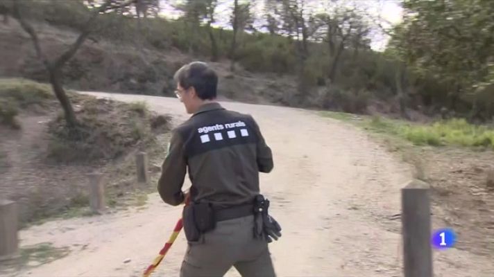 L'Informatiu - Una vintena de comarques amb alt risc d'incendi