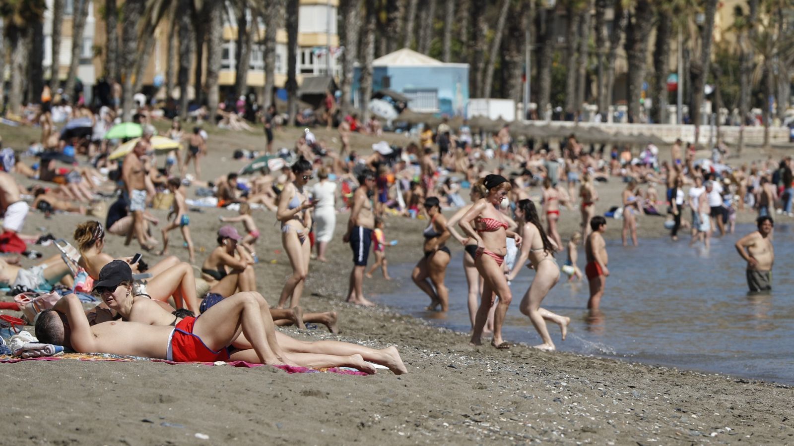Telediario - 15 horas - 11/03/23 - Lengua de signos - ver ahora
