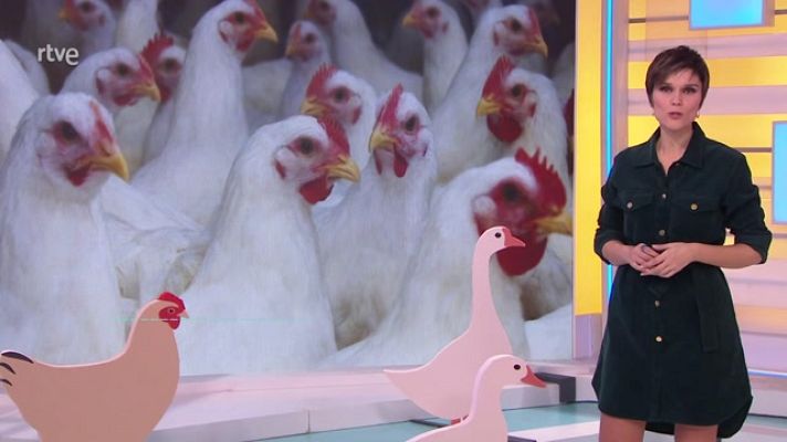 Saber vivir - Saber vivir - 12/03/23