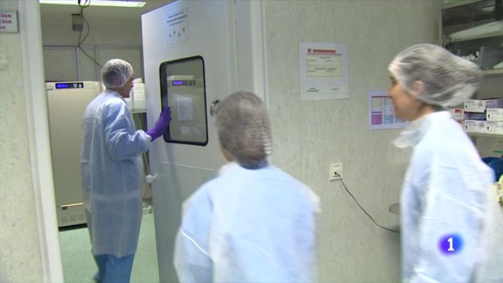 Telediario Fin de Semana - Insectarios para investigar soluciones al contagio a través insectos