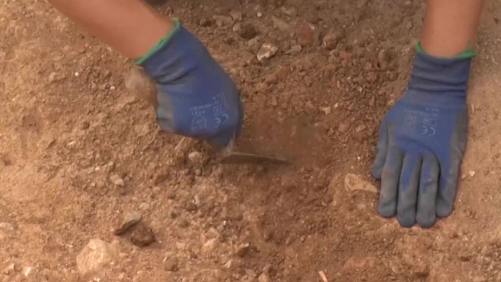 Restos de la Guerra Civil en Baleares: en ocho años han abierto una veintena de fosas | Ver