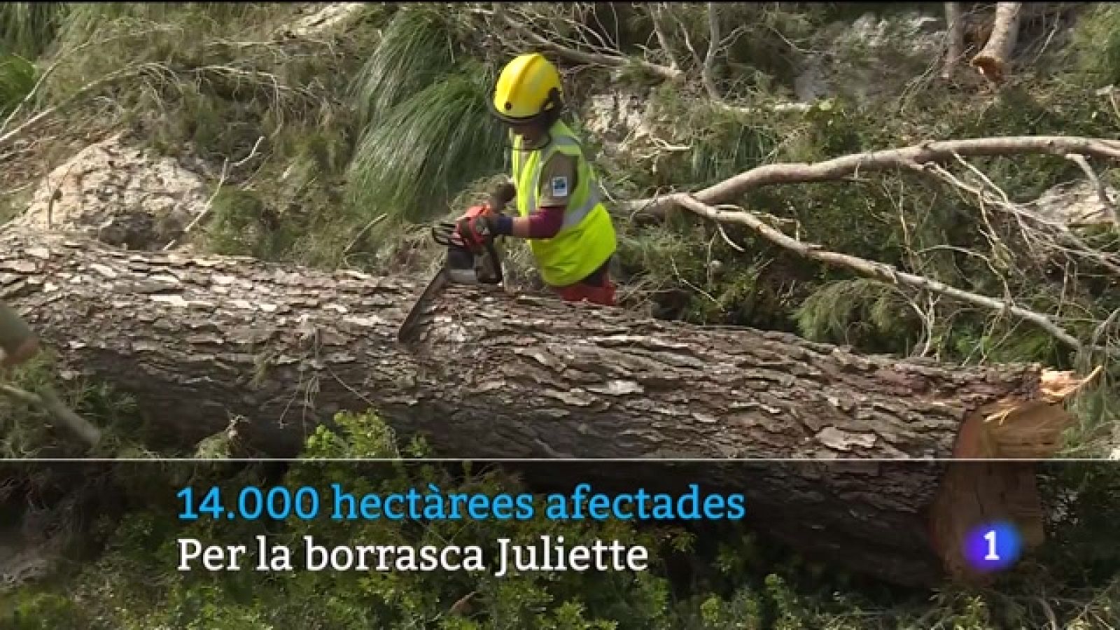Informatiu Balear en 2' - 13/03/23 - Veure ara