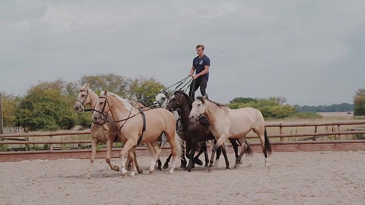 Ride - Programa FEI Ride - Episodio 5