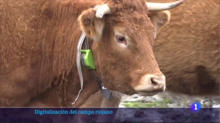 Informativo Telerioja - Informativo Telerioja  - 14/03/23