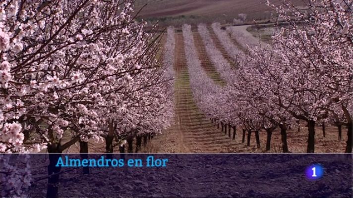 Informativo Telerioja - Telerioja en 2' - 14/03/23