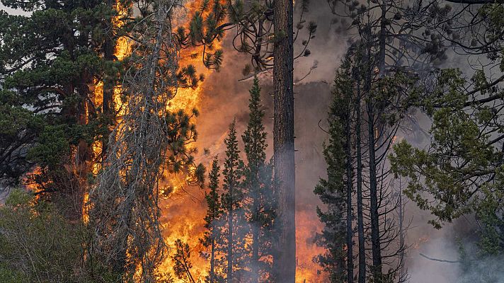 Telediario Matinal - Telediario - 8 horas - 15/03/23