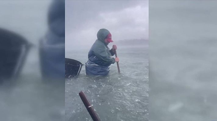 Telediario 1 - El trabajo de María, la mariscadora que triunfa en redes en pleno temporal: "Estoy super agradecida del cariño que me han mostrado"